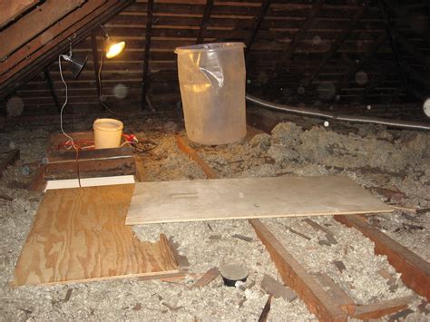 Installing Attic Access 的图像结果