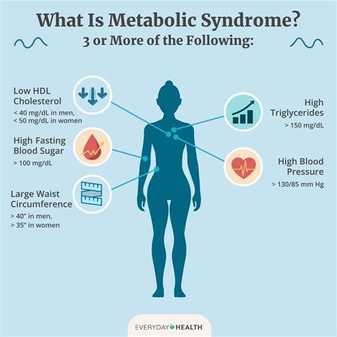 The Ultimate Guide to Brown Fat: What It Is, Why It Matters, and ...