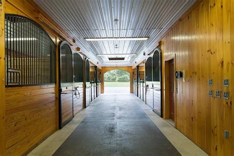 Stable 的图像结果