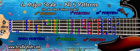 The G Major Scale and E Minor Scale on the 5 String Bass!! - Bradley Fish