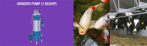 INDRA HYDRO TECH PUMPS PVT LTD.