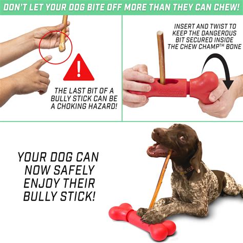 Pet bully stick holder – PlayGoSports.com