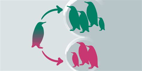 Add User to Group in Linux 的图像结果