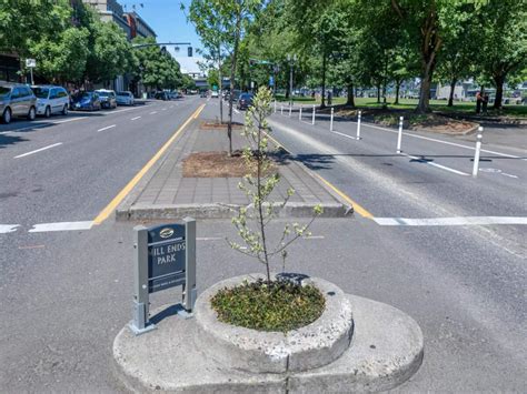 Mill Ends Park, Oregon: Exactly how small is the world’s smallest park?