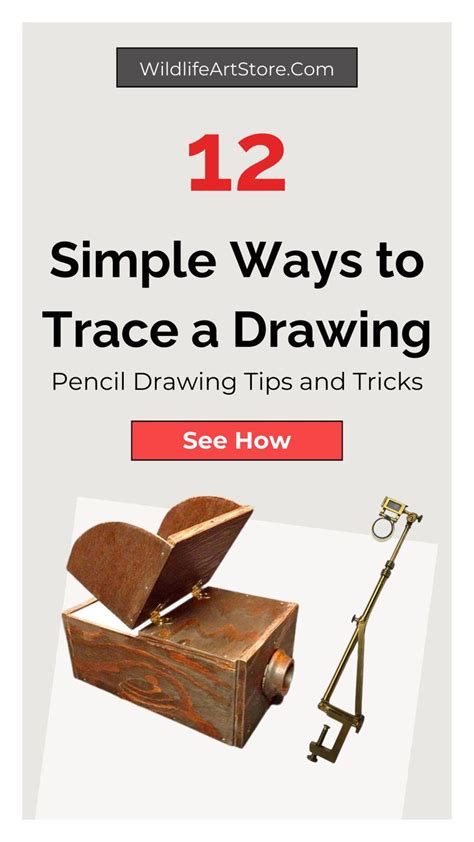 Image result for Trace Drawing Tutorial