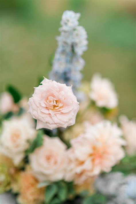 A textural and inviting fall wedding at Pinecroft at Crosley Estate ...