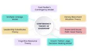 Image result for Contingency Theory of Organization Types