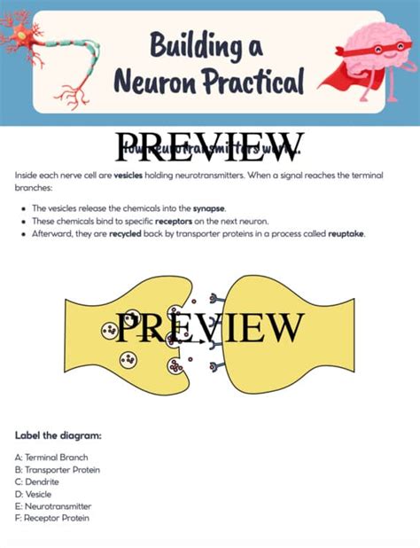 Image result for Pipe Cleaner Neuron Project
