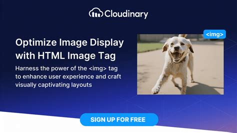 Image result for Image Tag in HTML