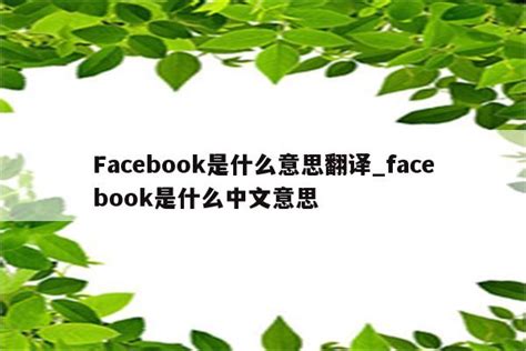 Facebook是什么意思翻译_facebook是什么中文意思 - messenger相关 - APPid共享网