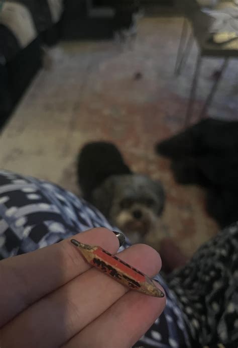 My grandma uses pencils for years until they are tiny. : r/mildlyinteresting