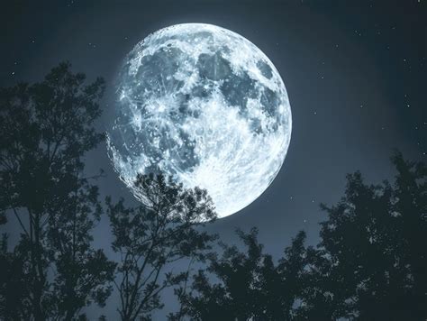 Image result for Moon Pool Tutorial Minecraft