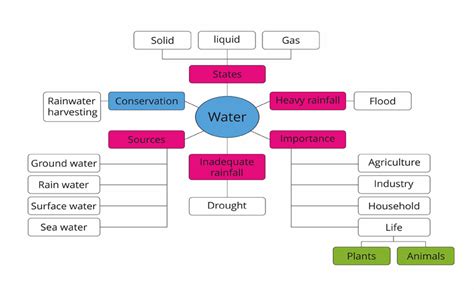 Mindmap — lesson. Science CBSE, Class 6.