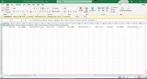 Convert .dbf to Excel 的图像结果
