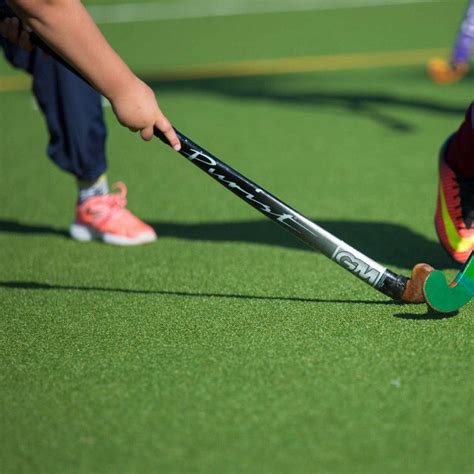 Hockey Grass 的图像结果