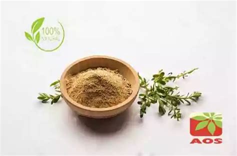 Brahmi Extract Manufacturers in India - AOS Products