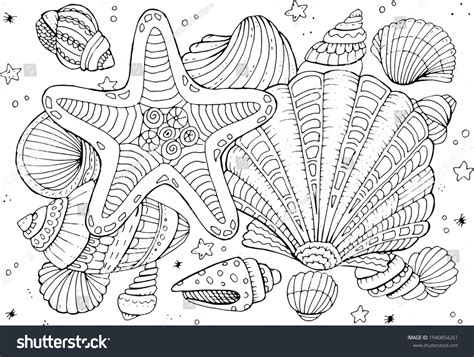 Image result for Sea Shells Coloring