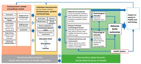 A Comprehensive Review on Social Inequalities and Pregnancy Outcome ...