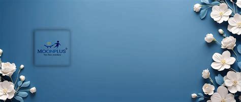 MOONPLUS 925 Sterling Silver Handmade God Murugan Vel for Pooja ...