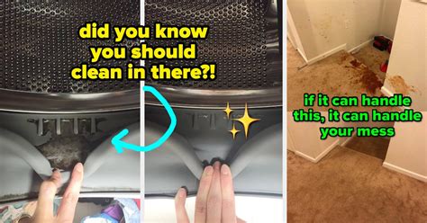 Fight Back Clean 的图像结果