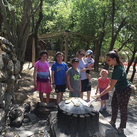 EIN YAEL LIVING MUSEUM (2024) All You Need to Know BEFORE You Go (with ...