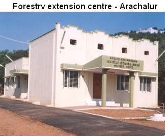 Forestry :: Forestry Extension