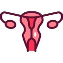 Top Orthopedic and Bone Specialist Doctor in Patna|orthopedic doctor in ...