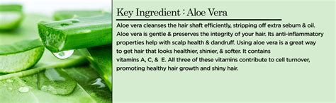 Soulflower Onion Biotin Shampoo| Hair Growth & Scalp Nourishment, Hair ...