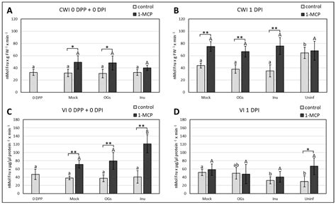 Sweet Immunity: Inulin Boosts Resistance of Lettuce (Lactuca sativa ...