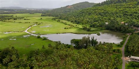 LetsGoa - Mulgao Folk Village Tour & Coconut Farming Experience Goa