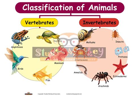 Go Grow And Glow Foods - [Charts, Posters Or Teaching Aids] Size: 18" X ...