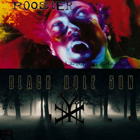 Rooster/Black Hole Sun (Alice in Chains/Chris Cornell Tribute), 1855 ...
