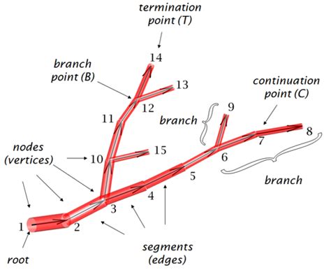 TREES toolbox manual