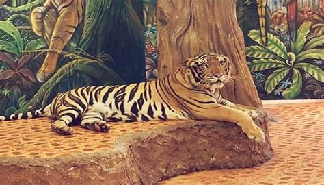 Sriracha Tiger Zoo For A Wildlife Adventure With Tigers In 2026