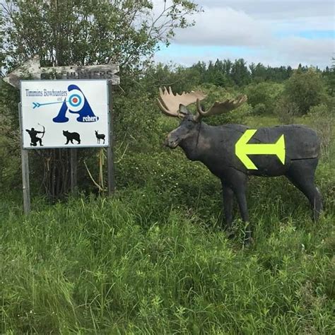 3D Archery Fun Shoot, 2400 Kraft Creek Rd, Timmins, ON P4N 7C3, Canada ...