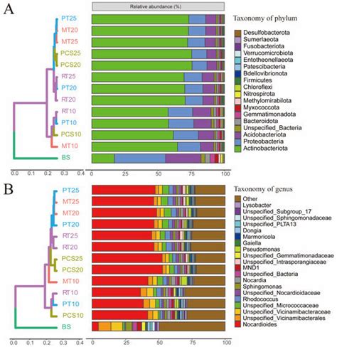 Microbial Community Succession During Bioremediation of Petroleum ...