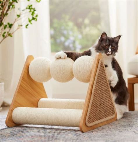 Image result for Cat Scratching Post Review