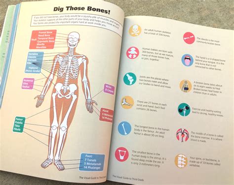 Image result for Educational Guide Visual