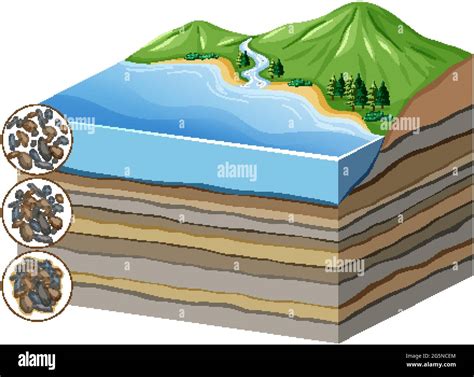 Compaction And Cementation