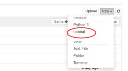 Python Notebook Terminology 的图像结果