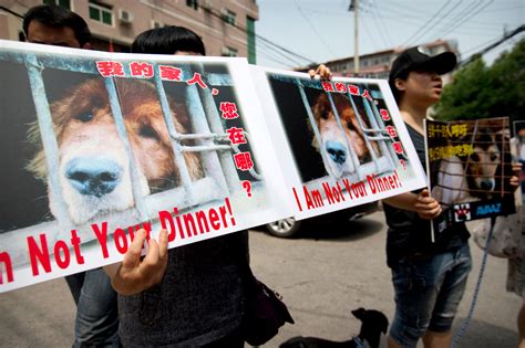 What Is Yulin Festival In China