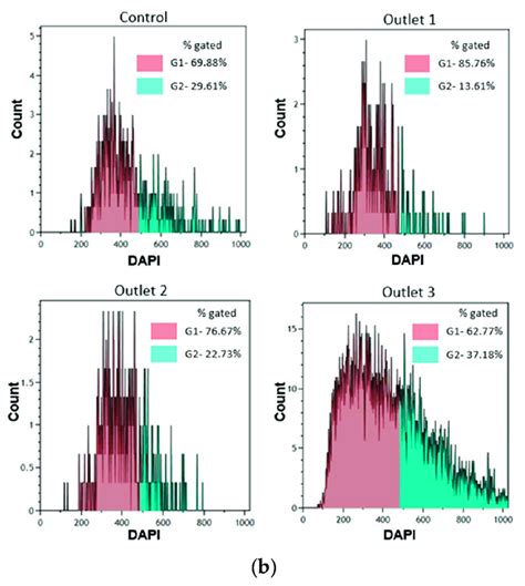 Image result for Cell Cycle Synchronization
