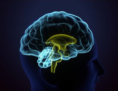 Image result for Deep Tissue Word