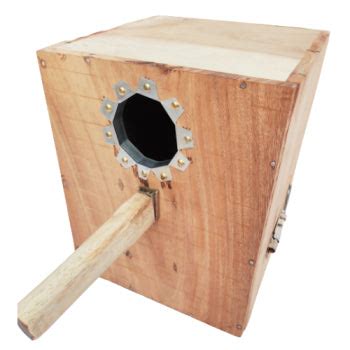 Image result for Bird Box for Conures