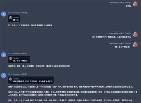 Mini Robot Chat GPT 的图像结果