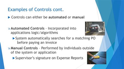 Example Controls 的图像结果