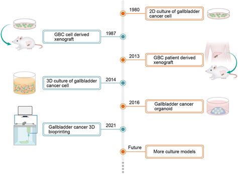 Application and Progress of Cultured Models of Gallbladder Carcinoma