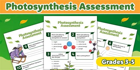 Photosynthesis Assessment for 3rd-5th Grade