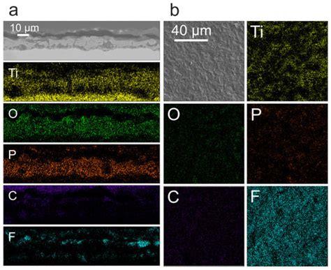 PTFE-Containing Coating Obtained on Ti by Spraying and PEO Pretreatment