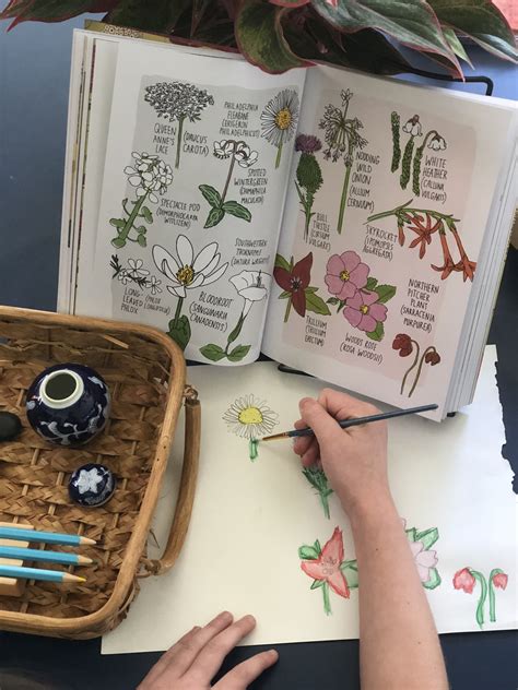 PaintBasket Tutorials 的图像结果